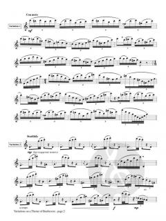 Variations on a Theme of Beethoven von Michael Braz 