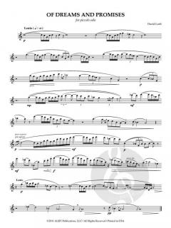Of Dreams and Promises von David Loeb 