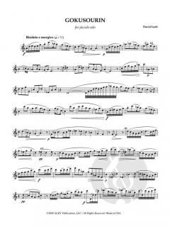 Piccolo Perspectives von David Loeb 