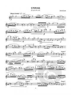 Piccolo Perspectives von David Loeb 