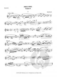 Preludes, Vol. IV von David Loeb 