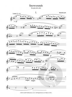 Snowsounds von David Loeb 
