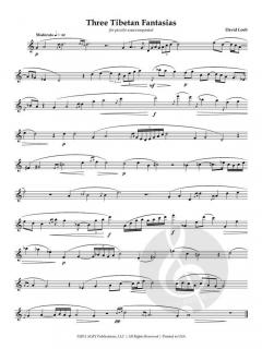 3 Tibetan Fantasies von David Loeb 