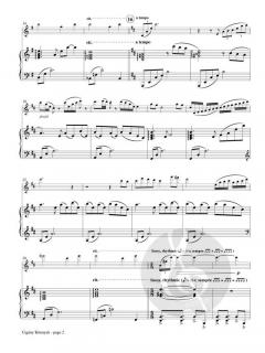 Cigany Konnyek (Gypsy Tears) von P. Brent Register 