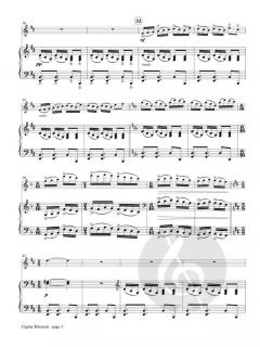 Cigany Konnyek (Gypsy Tears) von P. Brent Register 