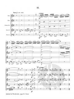 Quintet von Carl Derfler 