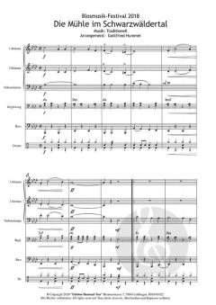 Die Mühle im Schwarzwälder Tal 