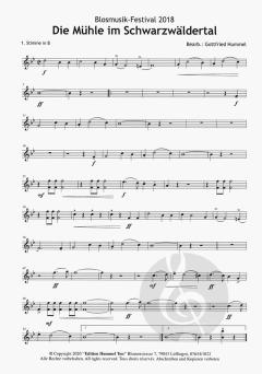 Die Mühle im Schwarzwälder Tal 