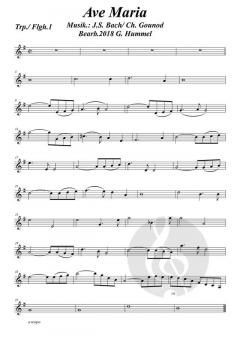 Ave Maria Bach 