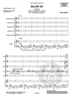 Blow In von Karol Beffa 