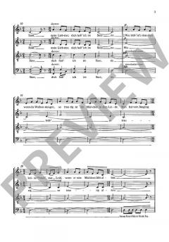 Drei Volkslieder Nr. 1: Wie schön ist's draussen von Jetse Bremer (Download) 