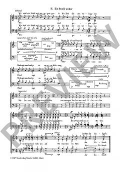 Du weißt ein Stück weiter das Eine von Franz-Georg Rössler (Download) 