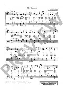 Vier irische Folksongs von Helmut Maschke (Download) 