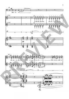 Nobilis, mei miserere von Zdenek Lukás (Download) 