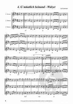 Alpenländische Saitenmusik Heft 4 