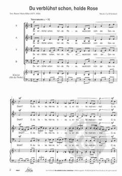 Du verblühst schon, holde Rose  