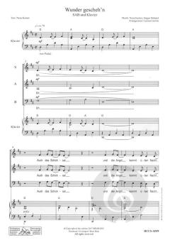 Wunder gescheh'n von Carsten Gerlitz 