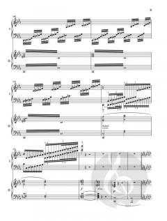 Klavierkonzert Nr. 4 c-moll op. 44 von Camille Saint-Saëns im Alle Noten Shop kaufen