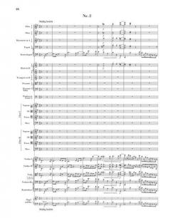 Triumphlied op. 55 von Johannes Brahms 