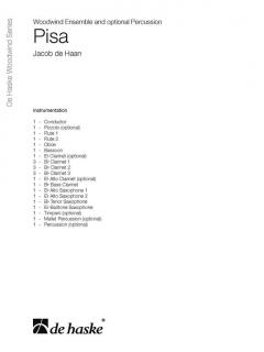 Pisa von Jacob de Haan 