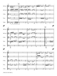 Through the Times von Otto M. Schwarz 