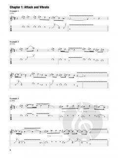 Electric Blues & Slide Guitar von Warren Haynes 