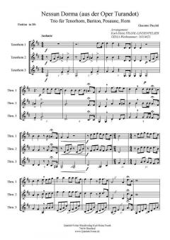 Nessun Dorma (Download) von Giacomo Puccini (Download) 