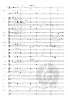 Christmas Fantasy von Jan de Haan 