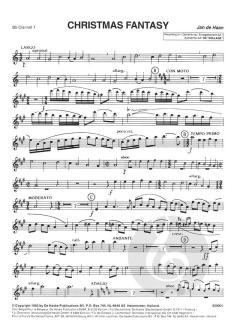 Christmas Fantasy von Jan de Haan 