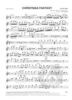 Christmas Fantasy von Jan de Haan 