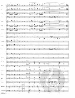 Instant Concert von Harold Walters 