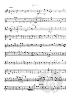 Overture from Pirates of Penzance von Arthur Seymour Sullivan 