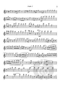 Overture from Pirates of Penzance von Arthur Seymour Sullivan 