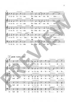 Mūsu kalni von Peteris Vasks 