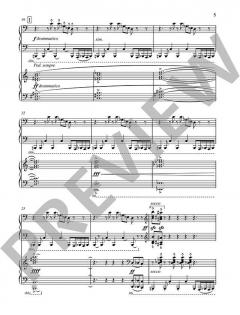 Sonata op. 80 von Fazil Say 