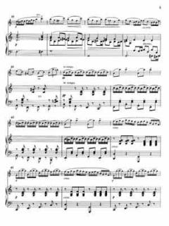 Sonate a-Moll 'Arpeggione' von Franz Schubert 