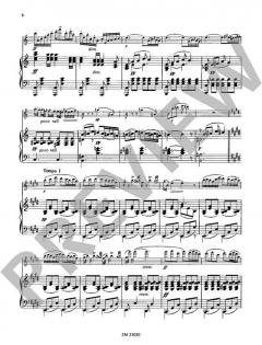 Berceuse / Mazurka de Salon / Nocturne von Franz Doppler 