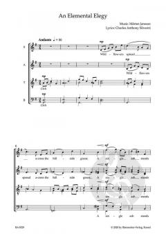 An Elemental Elegy von Mårten Jansson (Download) 