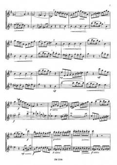 Duett nach der Violinsonate KV 304 von Wolfgang Amadeus Mozart für zwei Flöten nach der Violinsonate KV 304 im Alle Noten Shop kaufen