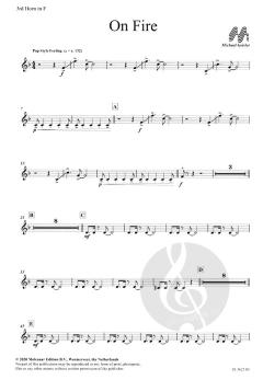 On Fire von Michael Geisler 