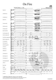 On Fire von Michael Geisler 
