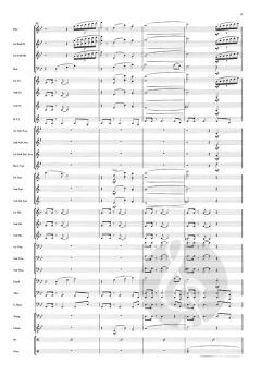 On Fire von Michael Geisler 