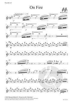 On Fire von Michael Geisler 