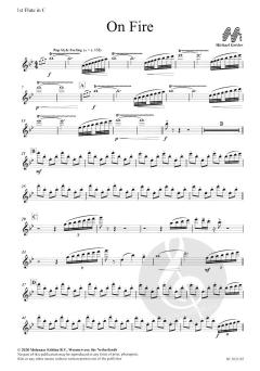 On Fire von Michael Geisler 