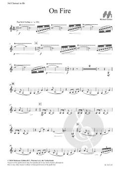 On Fire von Michael Geisler 