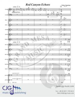 Red Canyon Echoes von Walter Cummings 