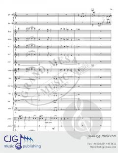 Red Canyon Echoes von Walter Cummings 