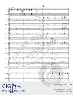 Red Canyon Echoes von Walter Cummings 