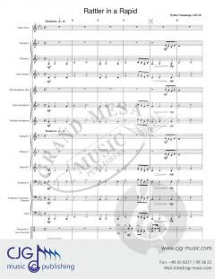 Rattler in a Rapid von Walter Cummings 