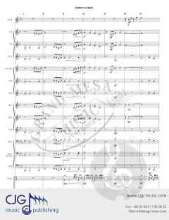 Rattler in a Rapid von Walter Cummings 